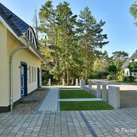 Duene 7 Apartment Dierhagen Exterior photo